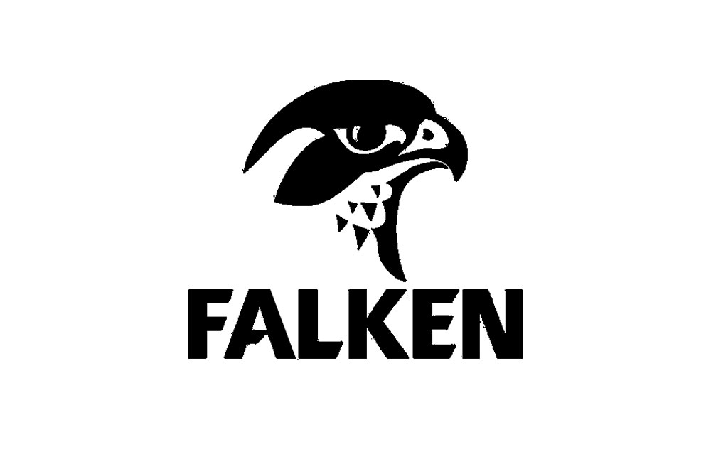 FALKEN | آدرین الکترونیک